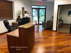 clean office in tampa bay