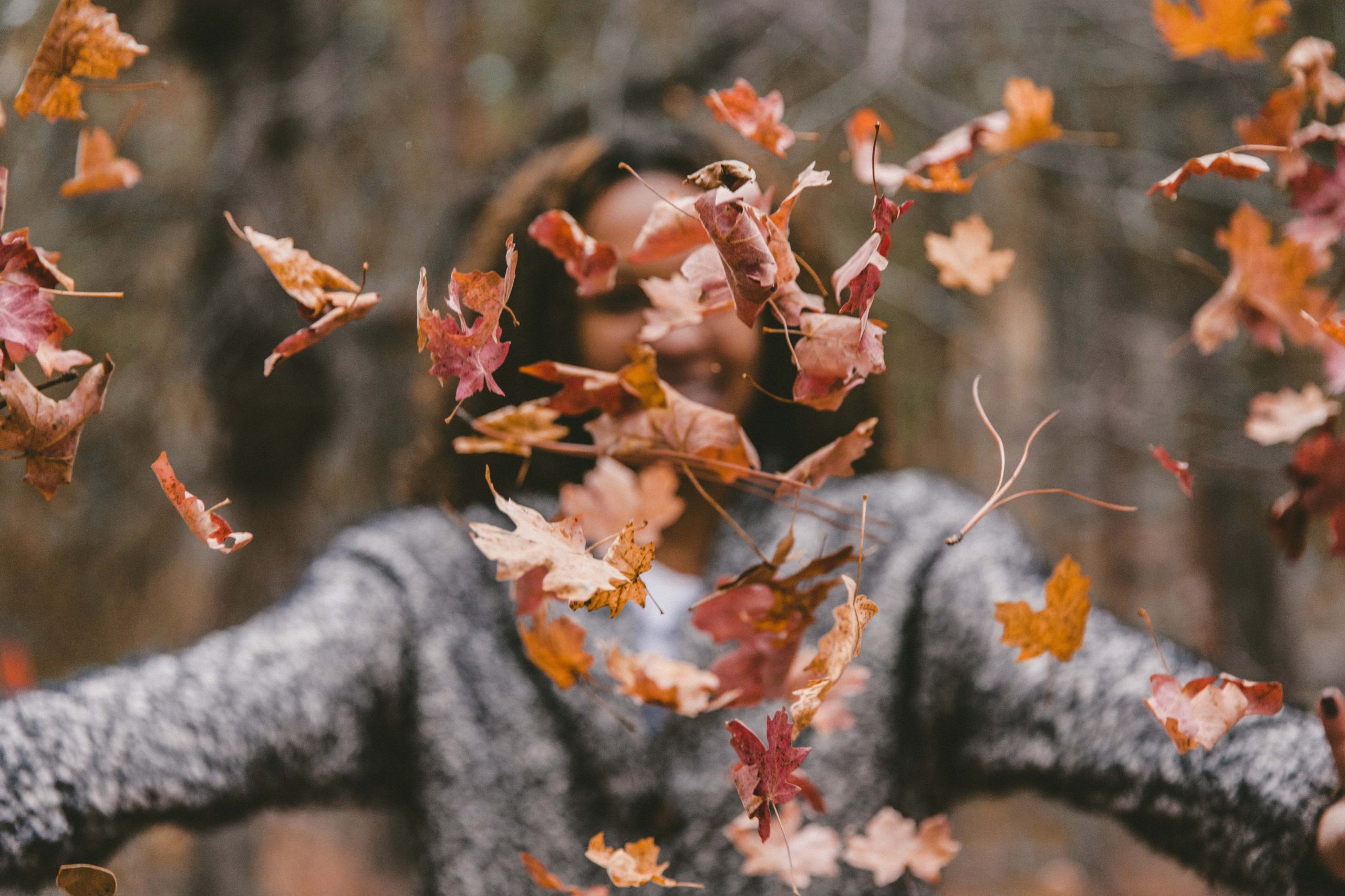 Your Fall Cleaning Done Efficiently